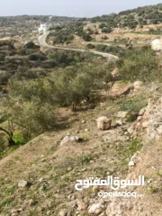  4 القبة الذهبية  اراضي بلعا دير الغصون