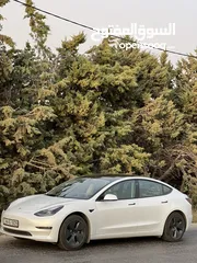  2 Tesla model 3 2021 standard plus- تيسلا 3 auto score B+ (81%)