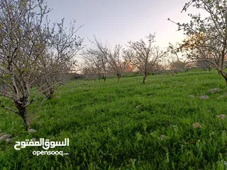  2 نمرة ارض مميزة للبيع