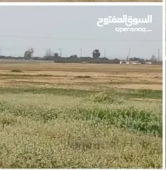  3 فرصة ذهبية! قطعة أرض 3644م2 للبيع داخل كمباوند المطار 4