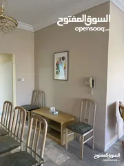  18 شقة مفروشة , ارضي ..  مع حديقة مميزة /  اعلان رقم (B93)