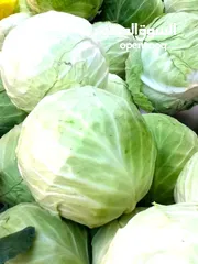  10 الفواكه والخضروات بالجملة / fruit and vegetables wholesale