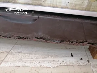  6 غاز نوع فريش