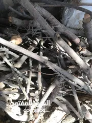  4 حطب زيتون ولوز يابس درجة أولى متين وسميك مثالي للتعبئة والشوي ومتوفر بكميات وبتسعيرة منافسة