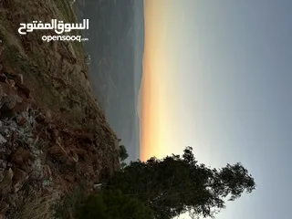  20 ارض مميزة 3ونص دونم للبيع من المالك مباشرة