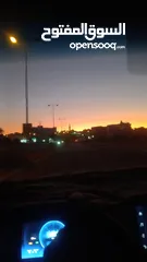  1 متاح للبيع بسعر مناسب جرو صغير للبيع او للبدل ع طيور