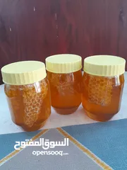  17 مناحل الكندي عسل