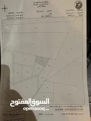  3 ارض زراعية مطلة، مزرعة زيتون ، منطقة فلل، على اوتستراد الزرقاء جرش ب قرية دحل