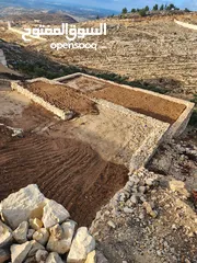  2 ارض للبيع حلحول بقار القصر الصيني