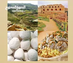  9 منتجاتنا من بيتا بالكرك