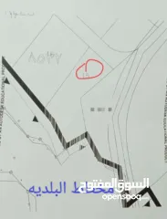  4 ارض للبيع في عنبتا منطقه الجبل الجنوبي تصنيف أ واصلها جميع الخدمات على شارع مزفت