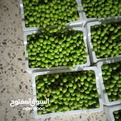  3 زيتون نبالي بعل