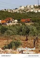  3 ارض للبيع في ام الينابيع
