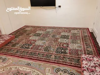  9 جلسات عربية وسجاد صيدا غرزة المليون