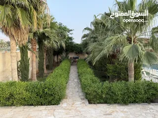  8 مزرعة نخيل مجهول مثمر ومنتج  + شاليه مودرن للبيع بأجمل مناطق الغور بالقرب من سد الكرامة 60 ك من عمان