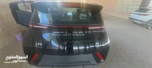  8 405 k  BYD SEAGULL FLYING 2024