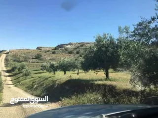  2 8 دونمات منطقة نادره قرب جرش  وممكن جزء من الثمن سياره