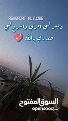  1 شقه جزء من بيت مستقل للايجار