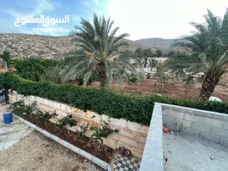  4 ارض للبيع في النصارية