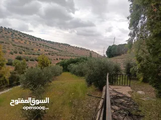  13 مزرعه مع 2 بيت ريفي مخدومه ماء وكهرباء مساحتها 4712