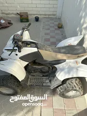  4 كوبرا 100cc للبيع