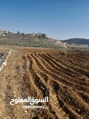  3 ارض للبيع صالحه للسكن