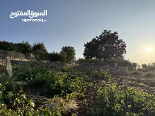  20 مزرعه للبيع / عجلون / رأس منيف