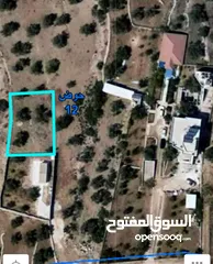  8 ارض للبيع في كوبر