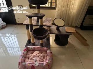  2 بيت ومنزل وشجرة قطط مع مشط ولعبه