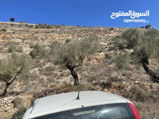  1 ارض لقطة للبيع بسعر