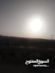  11 قطعه ارض مرتفعه ومطله منطقة شاليهات شرق جرش منطقة حميد  70 دنم سعر مغري جدا تصليح لمشروع استثماري