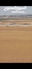  7 للبيع أرض 806 م الذهيبه الغربيه قرب مشروع الشهد 4