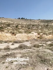  6 ارض للبيع ( ام رمانه) قريبه جدا من شارع الاردن حيث تبعد عن بن معروف 6 دقائق فقط