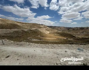  1 ارض للبيع في قرية مرج الغزلان