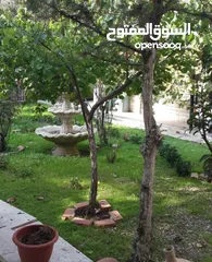 2 فيلا في منطقة الصويفية اعلان رقم (SLV82)