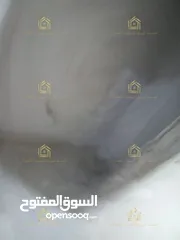  5 شقة فارغة للايجار في عبدون لم تسكن بعد التجديد