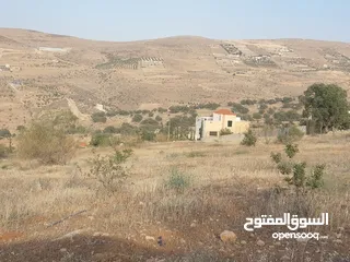  6 سبع دونمات في صروت مزروعة زيتون اطلالة مرتفعة منطقة شاليهات الدونم عشرين قابل