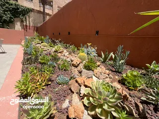  10 شقة 2 نوم مفروشة للايجار ( Property 43250 )-174896325