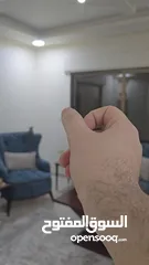  6 أنثى جرين شيك أليفة