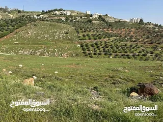  9 ارض 675 م غرب عمان/مرج الحمام/المشبك.عشارع اسفلت سكن ب 6 د عن دوار شوابكة والمريشد.منطقة خدمات وفلل