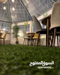  1 ببلز حجم كبير للبيع