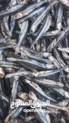  6 DRIED ANCHOVY OF IRAN( BARIYA Fish/ Jashea Fish)