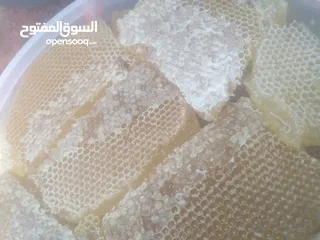  23 النحال أبوباسل لجميع أنواع العسل اليمني وبيع النحل