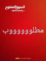  1 مطلوب مطير عصافير في اربد