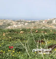  1 ارض ذات إطلالة جميلة جدا مطلة على الغرب و الساحل الفلسطيني