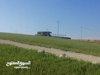  1 القسطل قرب شارع المطار من المالك