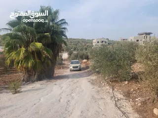  1 حصة 700 متر بالمسقوفة