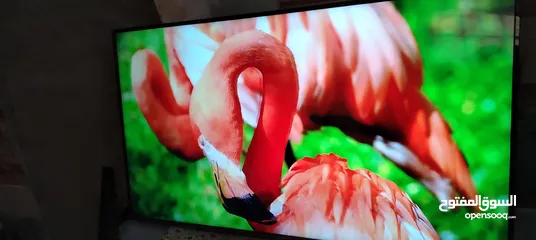  2 شاشه اي فيو 65 سمارت