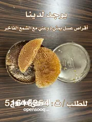  2 عسل صدر يمني ممتاز