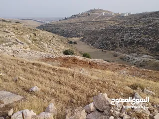  2 ارض للبيع.